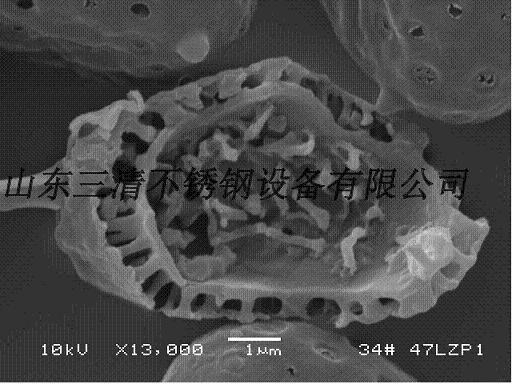 靈芝孢子粉破壁機